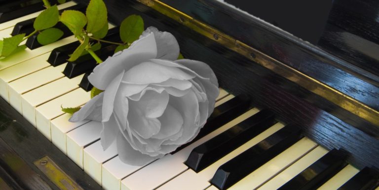 Fotolia tangenter end 768x386