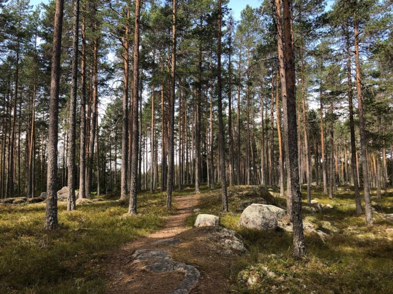 loiten almenning 768x576