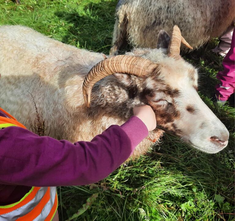 375913526 325131090181217 3429560006045089991 n 768x721